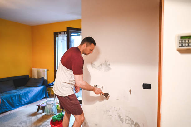 Mold Removal and Inspection in Gibbon, NE